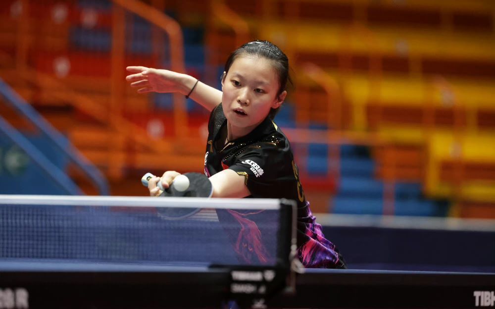 期徒刑15 期徒刑15